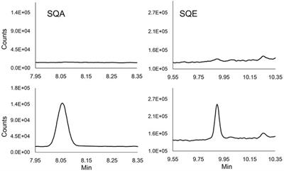 The Quantitation of Squalene and Squalane in Bronchoalveolar Lavage Fluid Using Gas Chromatography Mass Spectrometry